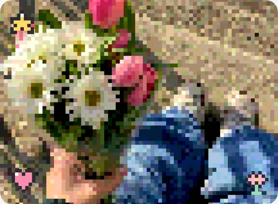 The same photo with the Pixel Pet Look: chunky pixels and small pixel-art charms